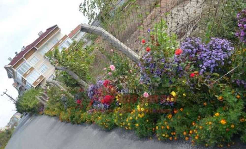 Günün En Güzel Haberi