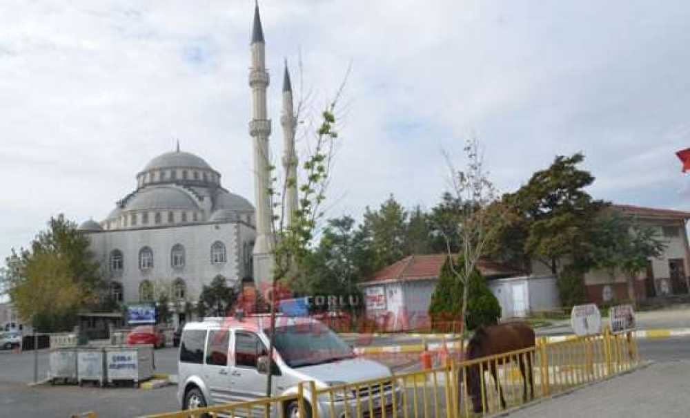 Başıboş Atlar Çorlu Caddelerinde Geziyor