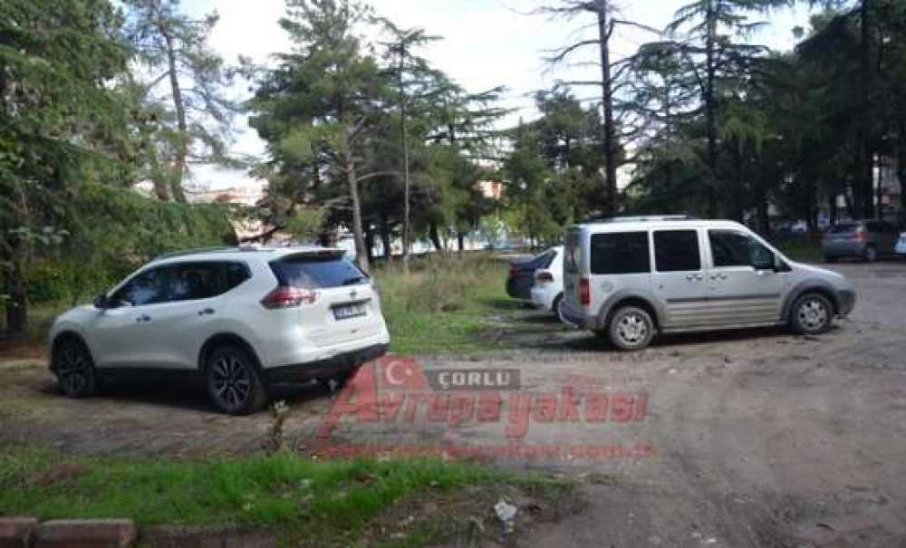Ağaçlık Alan Otopark Oldu