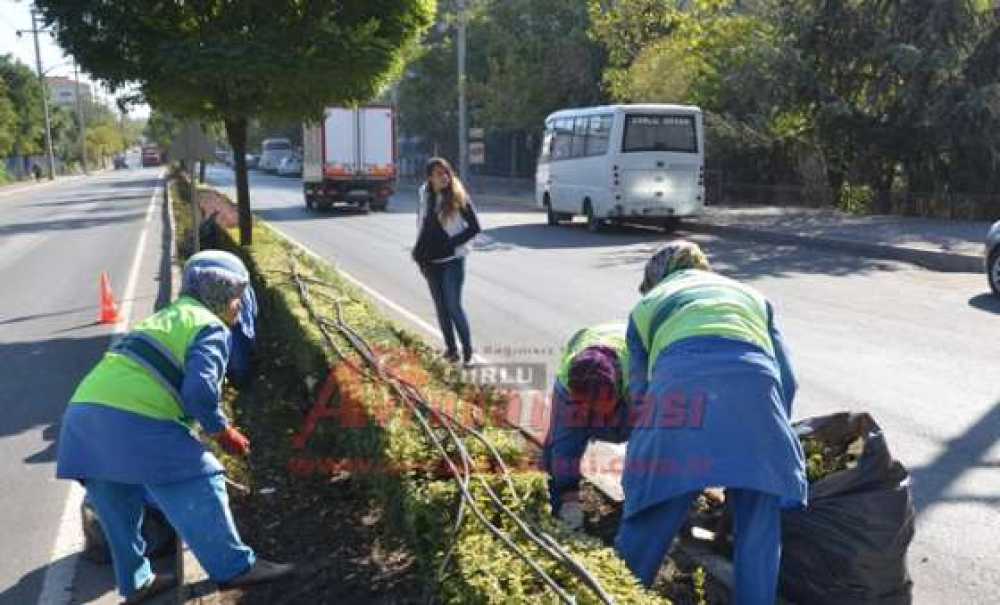 Atatürk Bulvarı'nda Çalışma