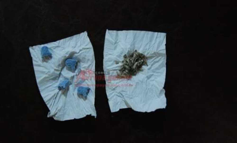 Çorlu Kom Ekipleri Esrar Ve Bonzai Ele Geçirdi