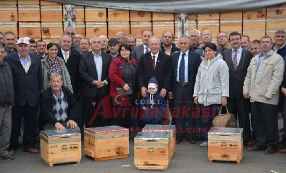 Çorlu'da Arı Üreticilerine Kovan Dağıtıldı