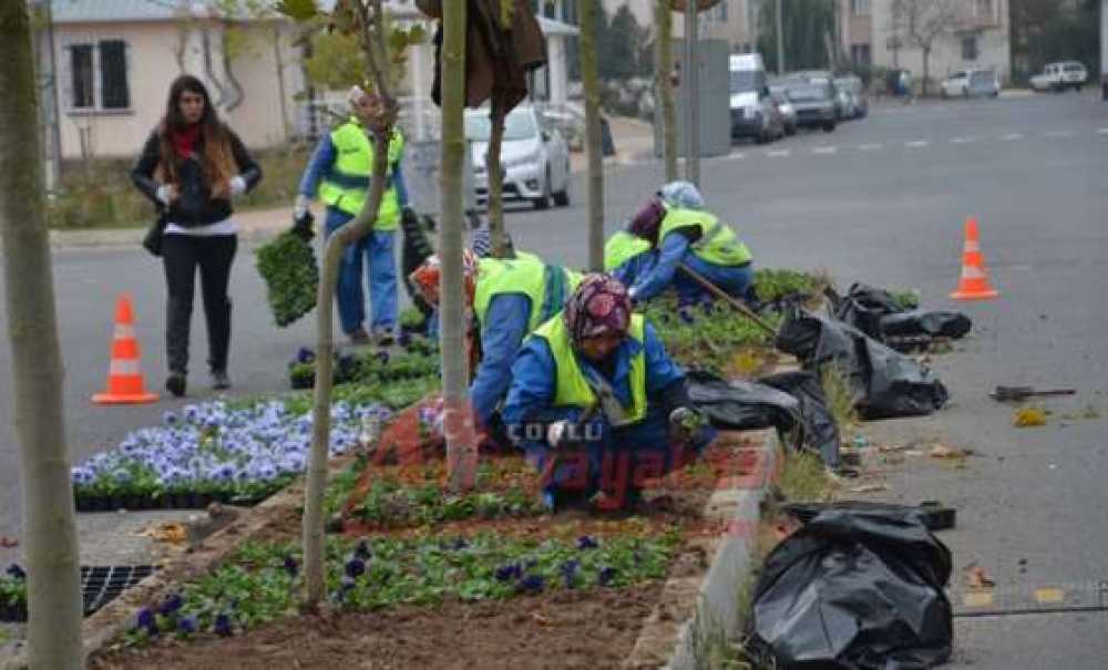 Çorlu Çiçekleniyor