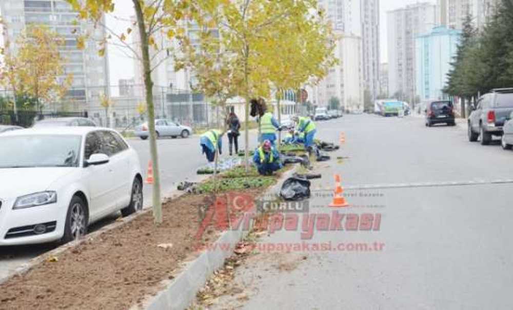 Çorlu Çiçekleniyor