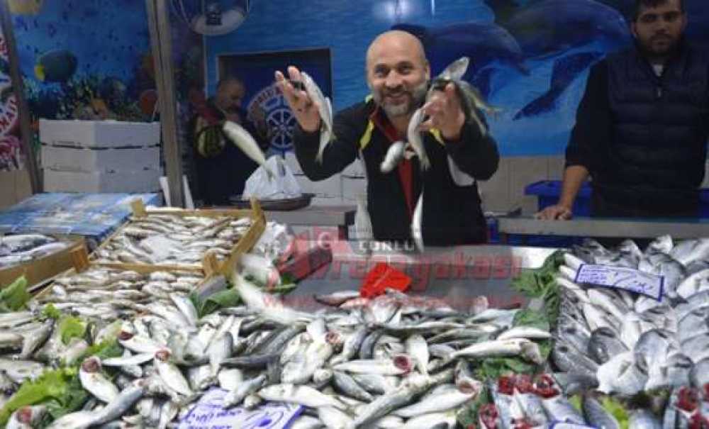 Balık Alacaklara Müjde!