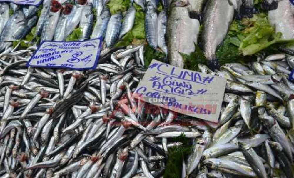 Balık Alacaklara Müjde!