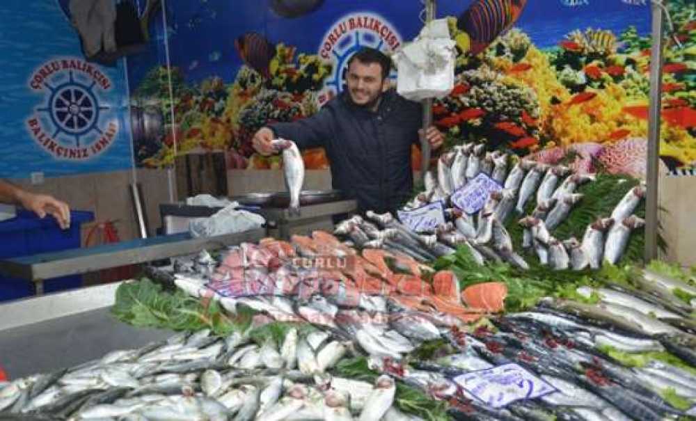 Balık Alacaklara Müjde!