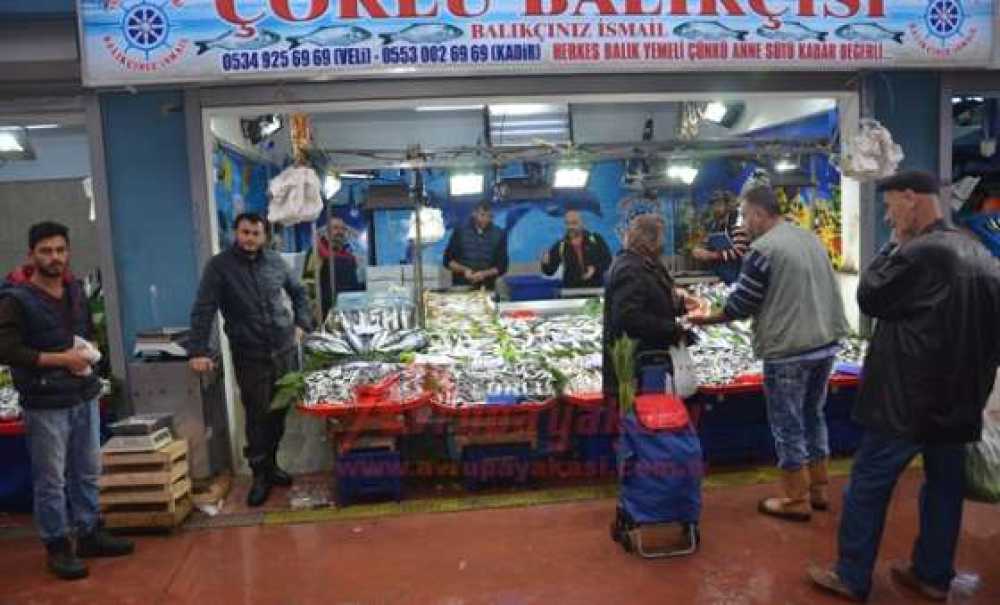 Balık Alacaklara Müjde!