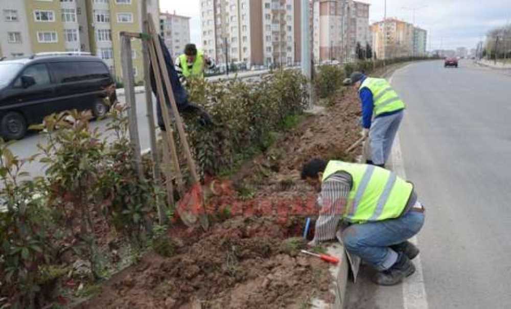 Bülent Ecevit Bulvarı'na Damlama Sistemi