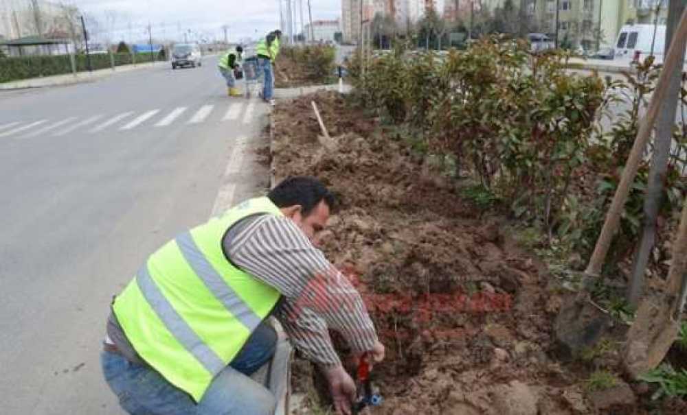 Bülent Ecevit Bulvarı'na Damlama Sistemi