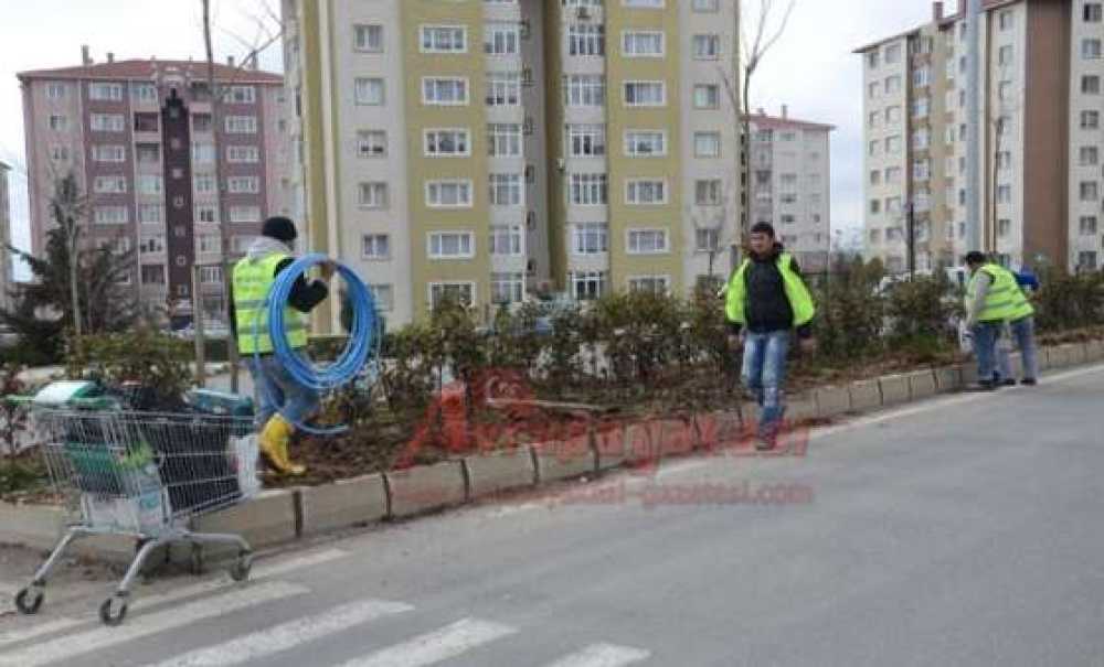 Bülent Ecevit Bulvarı'na Damlama Sistemi