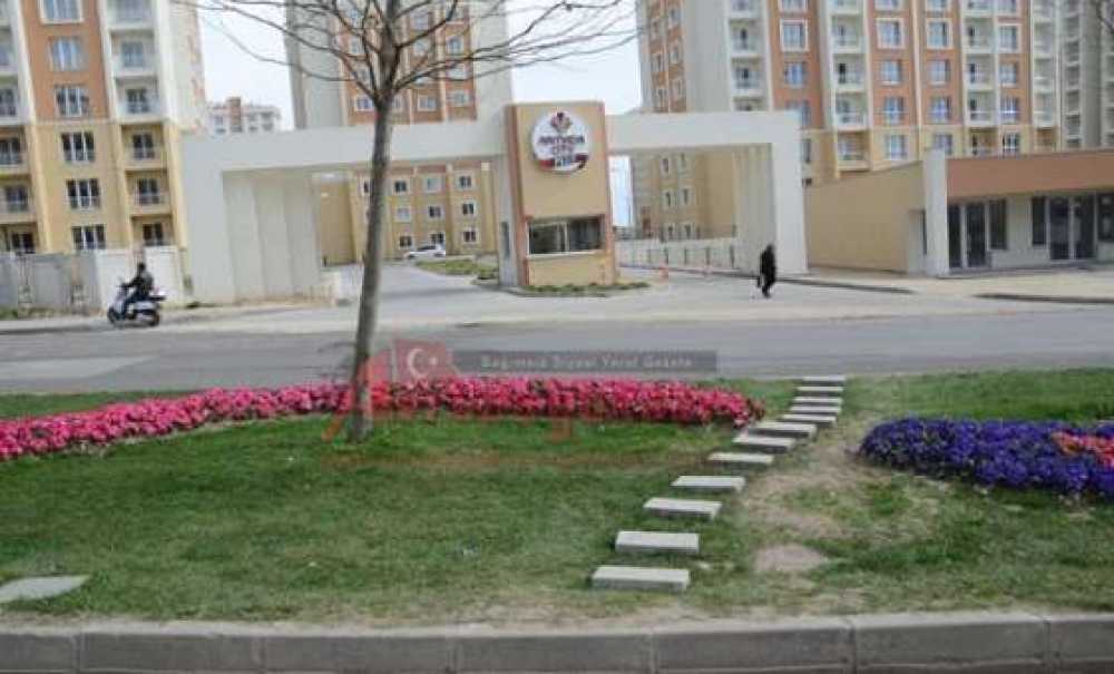 Yaya Geçiş Yeri İsteği