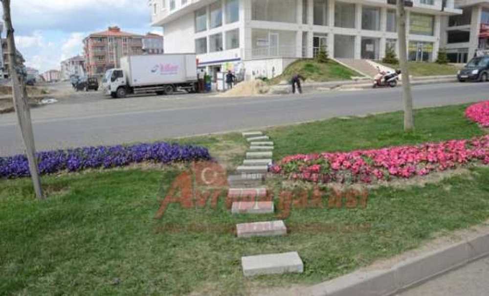 Yaya Geçiş Yeri İsteği