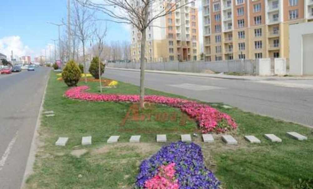 Yaya Geçiş Yeri İsteği