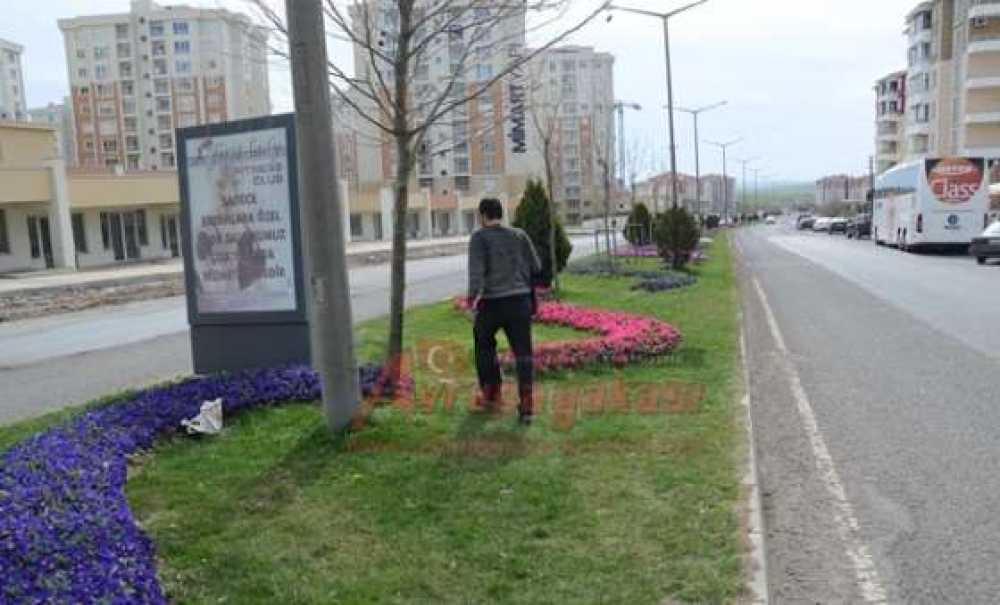 Yaya Geçiş Yeri İsteği