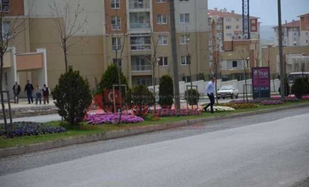 Yaya Geçiş Yeri İsteği