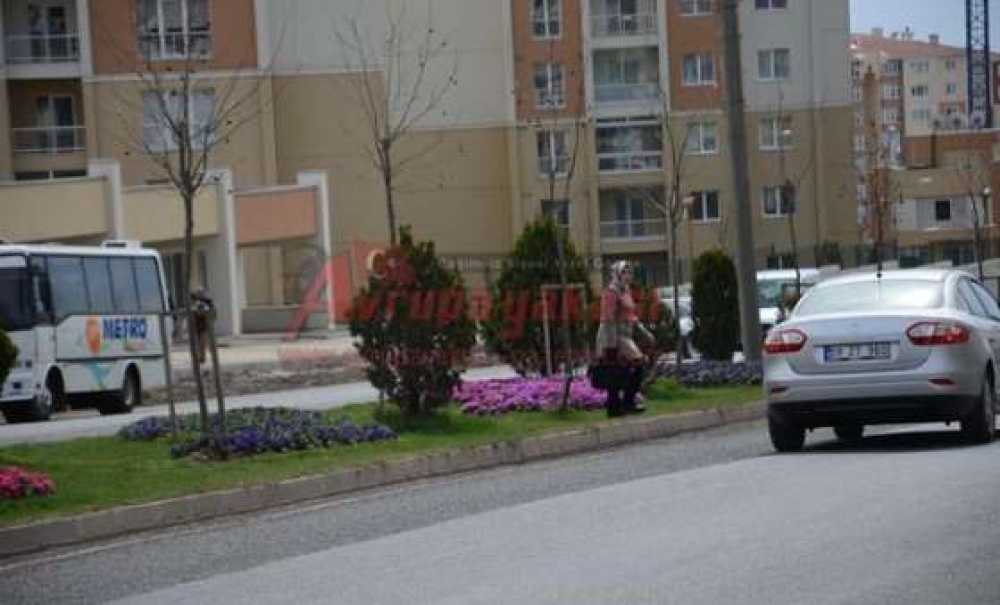 Yaya Geçiş Yeri İsteği