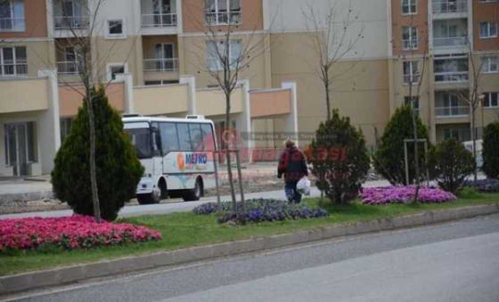 Yaya Geçiş Yeri İsteği