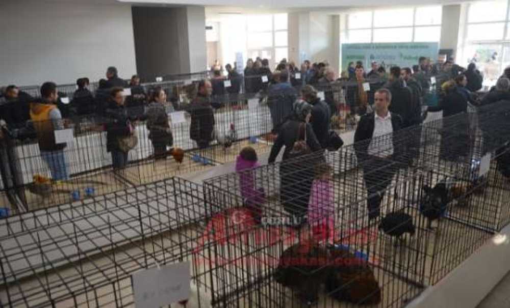 Çorlu'da 10 Bin Kişilik Festival