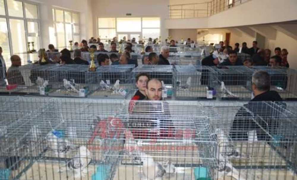 Çorlu'da 10 Bin Kişilik Festival