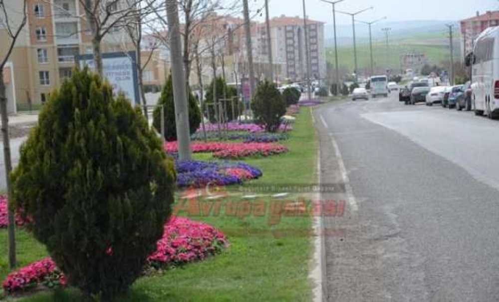 Yaya Geçiş Yeri İsteği