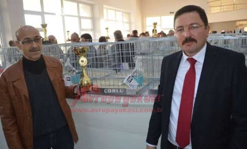 25 Bin Tl'ye Güvercin