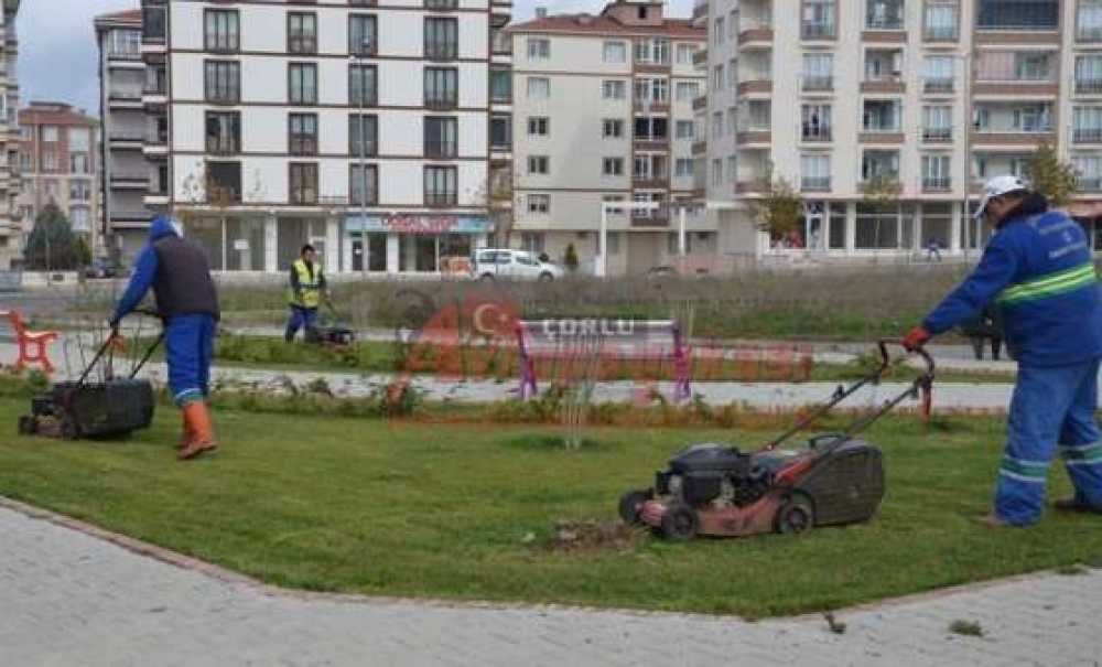 Park Ve Bahçeler Müdürlüğü Ekiplerinden Parklara Bakım