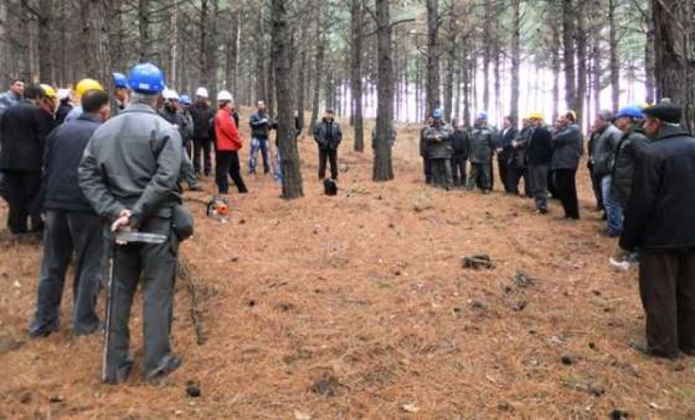 Orman İşletme Müdürlüğü'nde Tatbikat