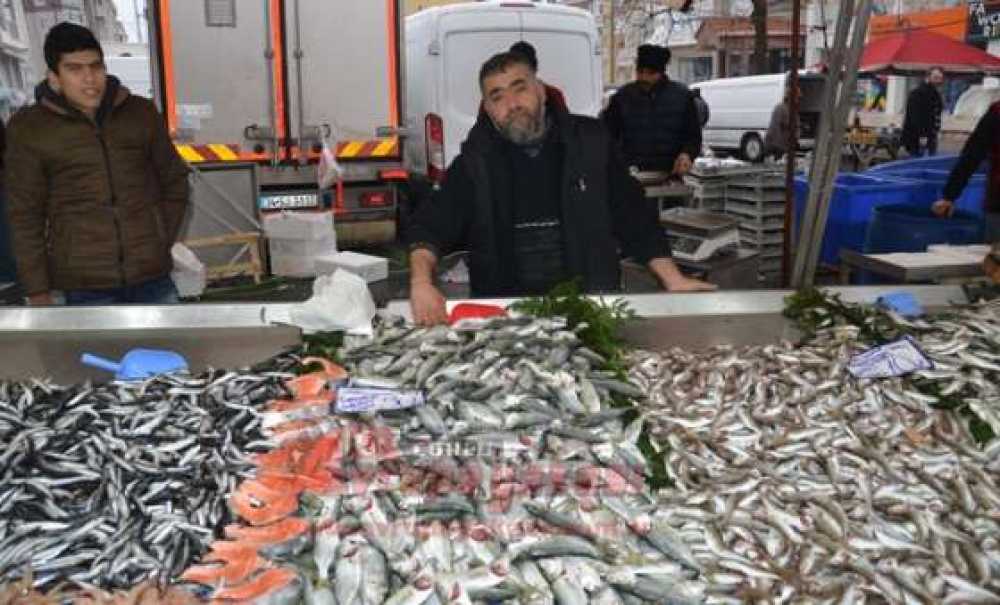 Balık Fiyatları Tavan Yaptı