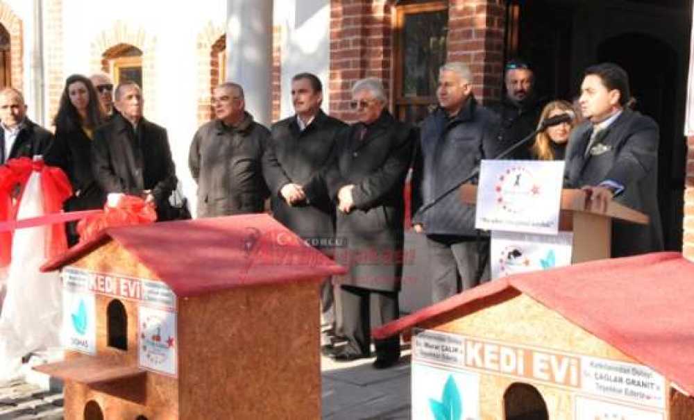 Çorlu`da Hayvan Hakları Konulu Fotoğraf Sergisi Açıldı