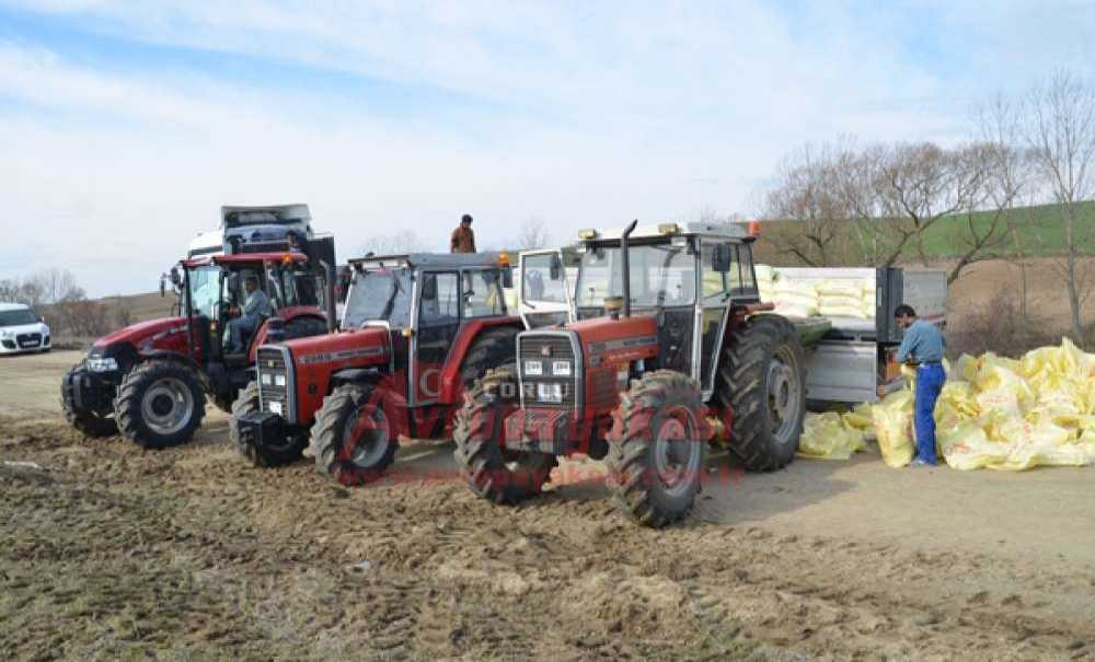 Türkgücü'nün Meraları İyileştiriliyor