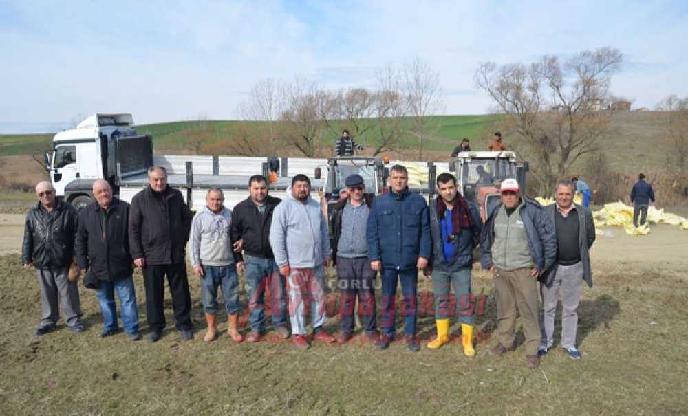 Türkgücü'nün Meraları İyileştiriliyor