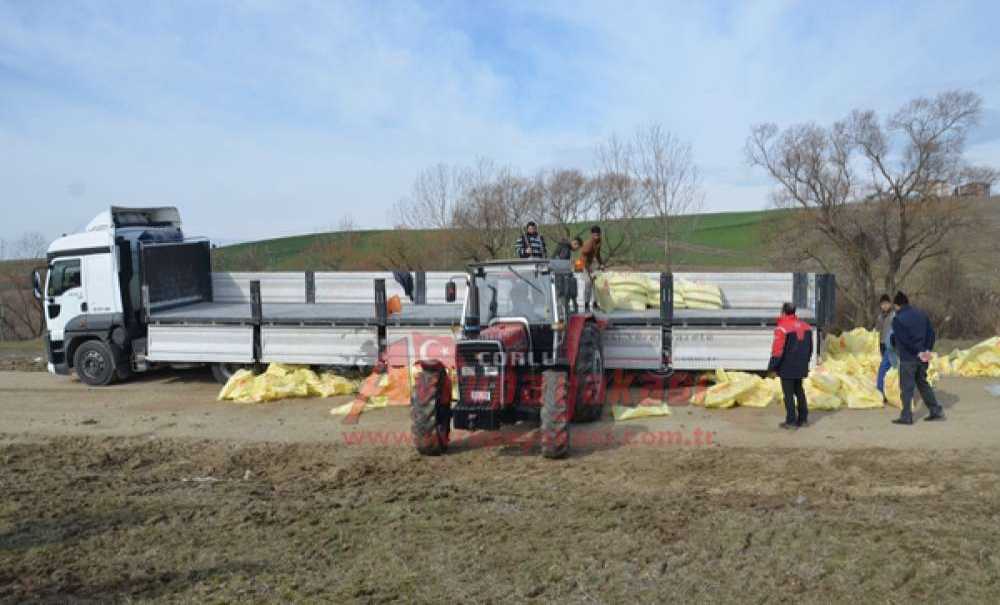 Türkgücü'nün Meraları İyileştiriliyor