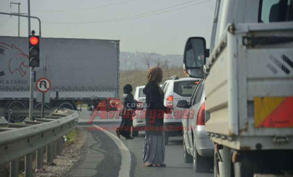 Ölümüne Dileniyorlar