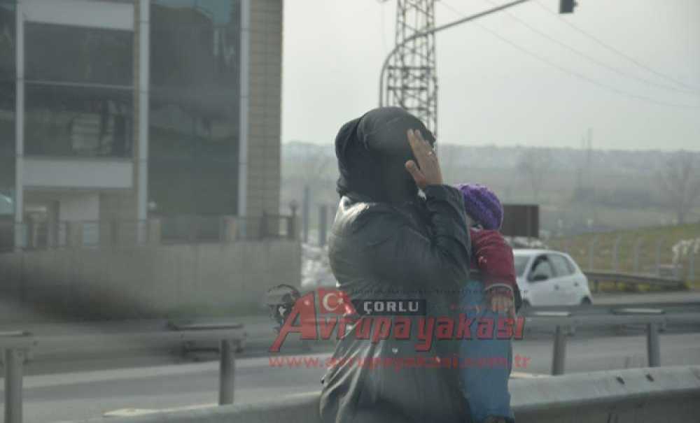 Ölümüne Dileniyorlar