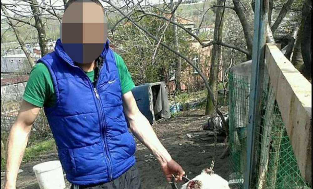 Katil Zanlısı Kardeş Çıktı