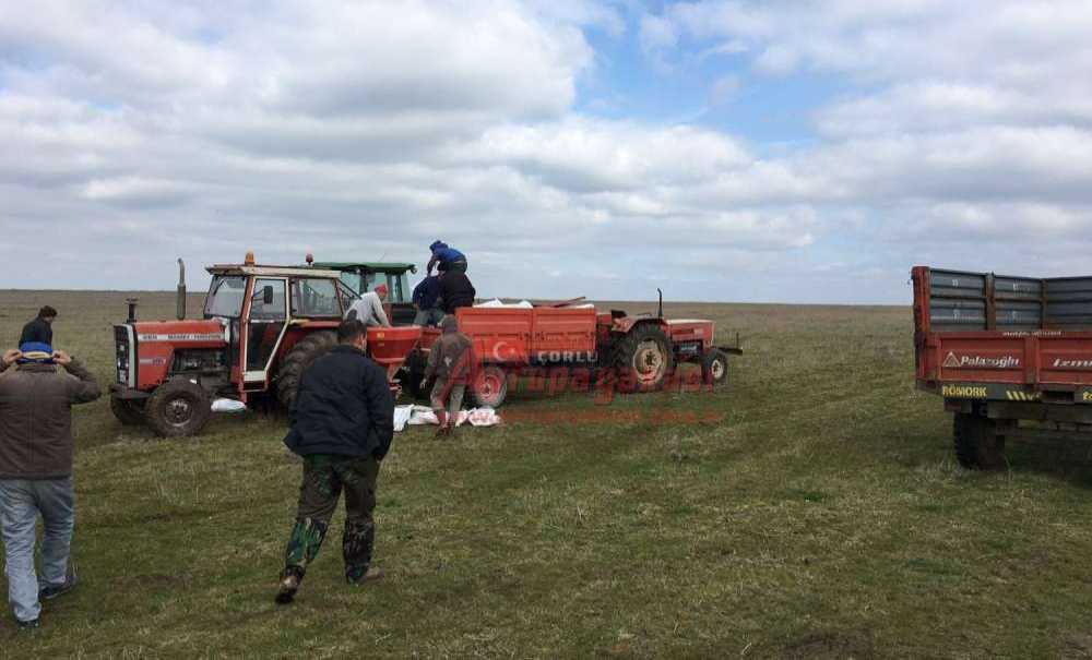 Örnek Mahalle Yukarısevindikli
