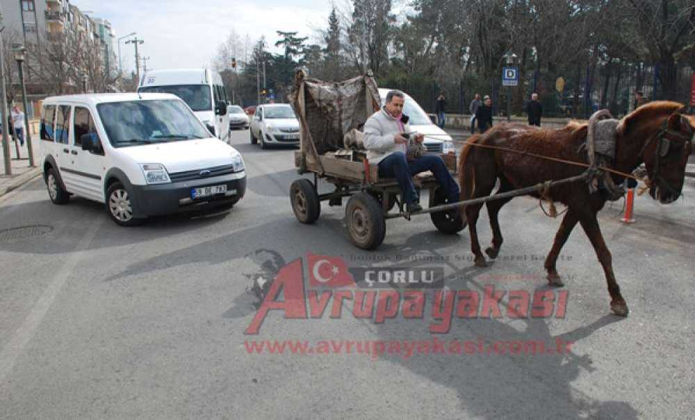 At Arabalı Hırsızlık Şüphelileri Yakalandı