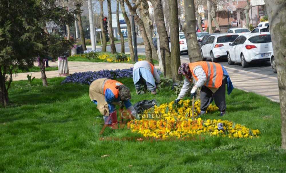 Çorlu'yu Çiçek Gibi Yapmak İçin Kolları Sıvadılar