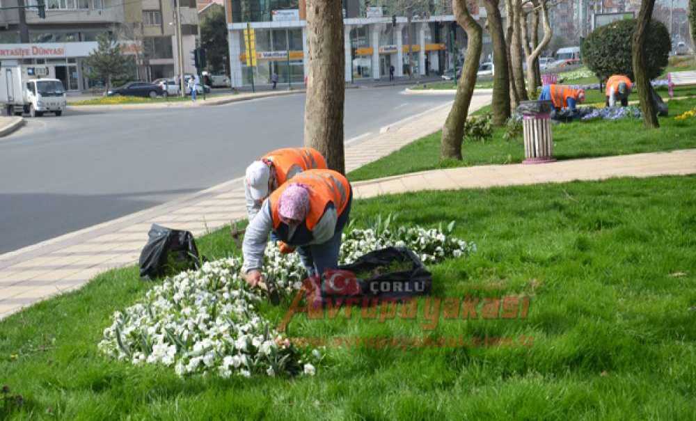 Çorlu'yu Çiçek Gibi Yapmak İçin Kolları Sıvadılar