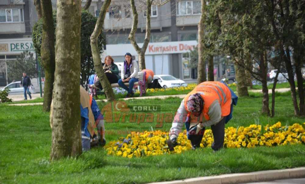 Çorlu'yu Çiçek Gibi Yapmak İçin Kolları Sıvadılar