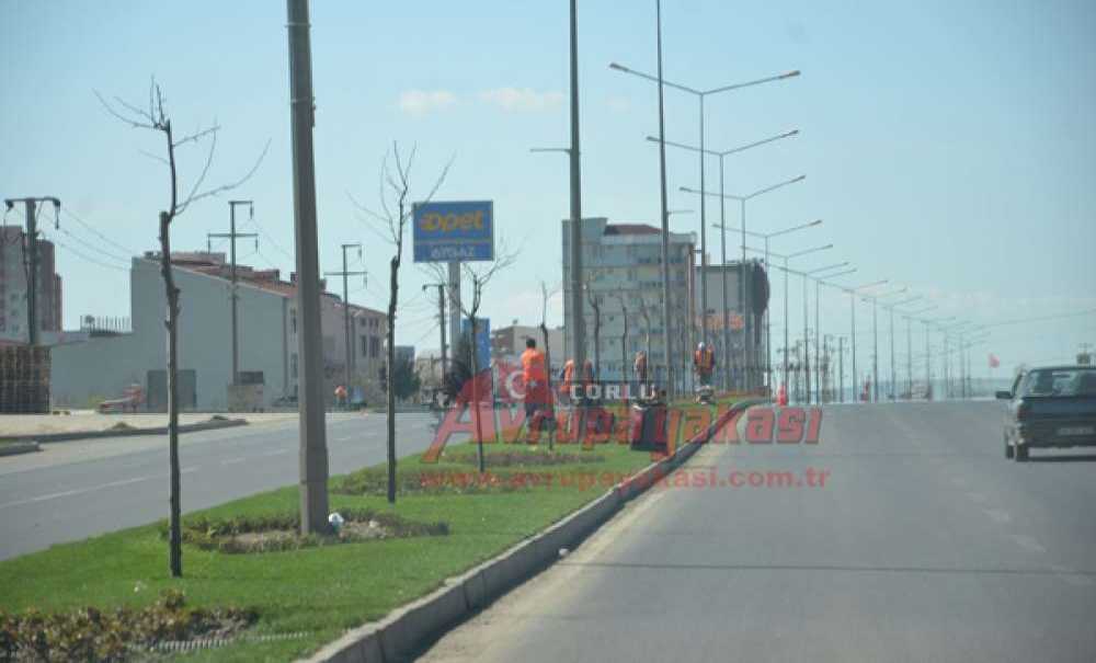 Park Bahçeler Ekiplerinden Refüjlere Bakım