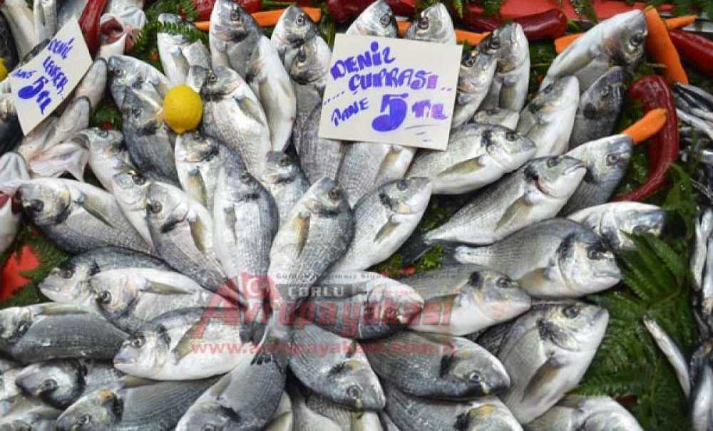 Balıkta Son Günler