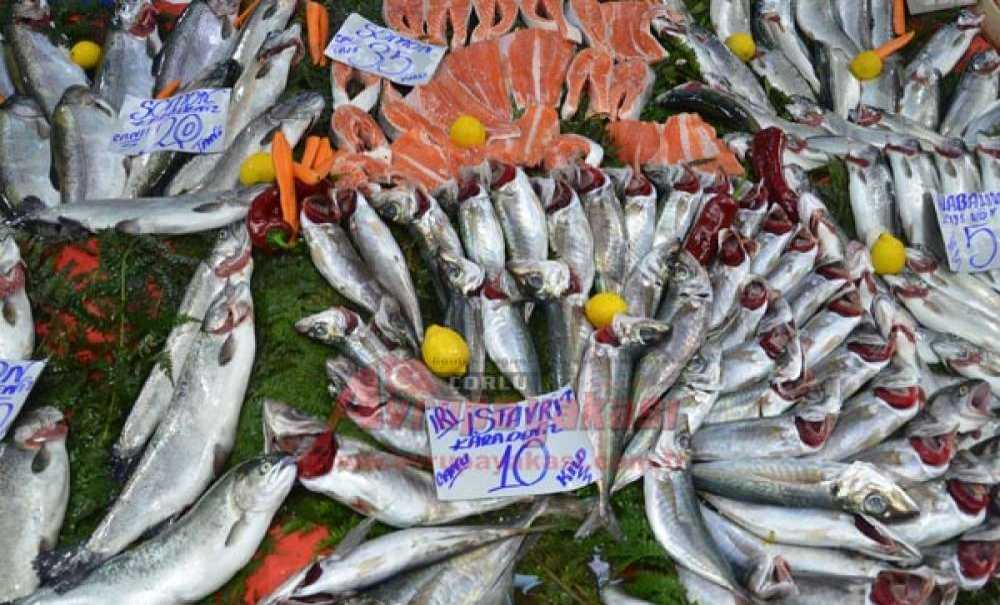 Balıkta Son Günler