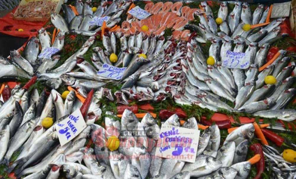 Balıkta Son Günler