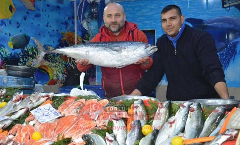 Balıkta Son Günler