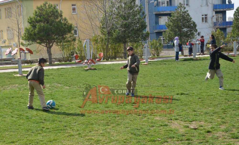 Güneşi Gören Tadını Çıkardı