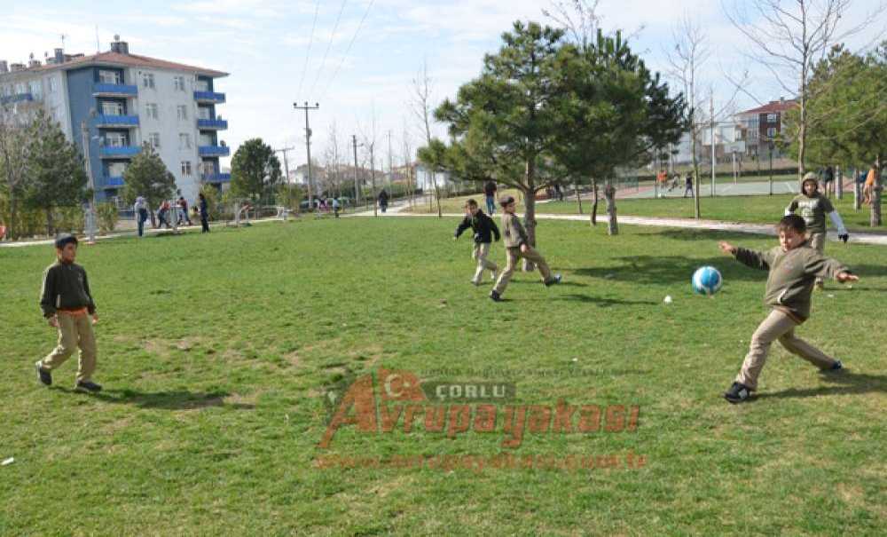 Güneşi Gören Tadını Çıkardı