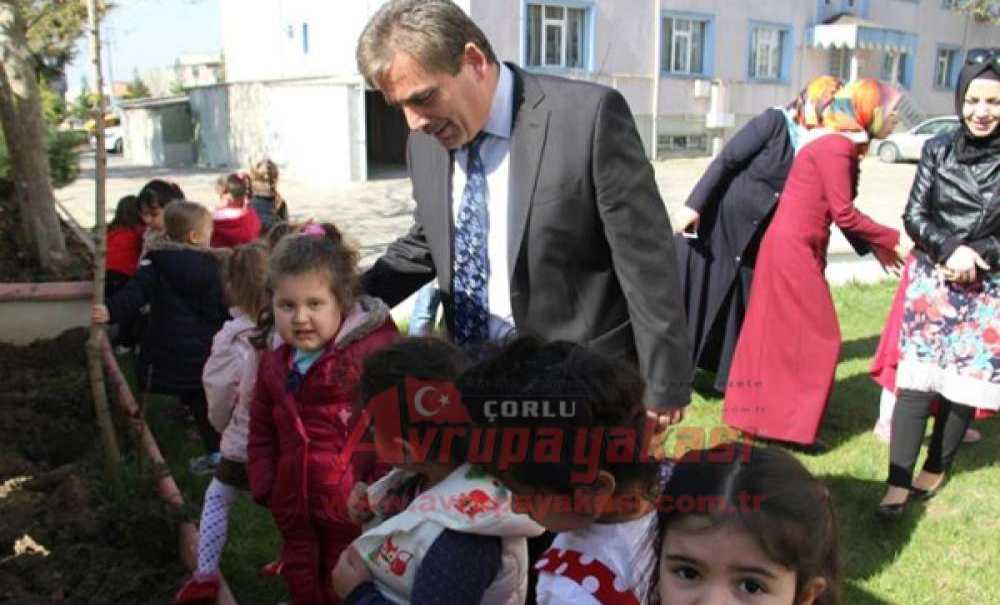 Kardeş Okul Ve Kardeş Kurs Öğrencileri Ağaç Dikti