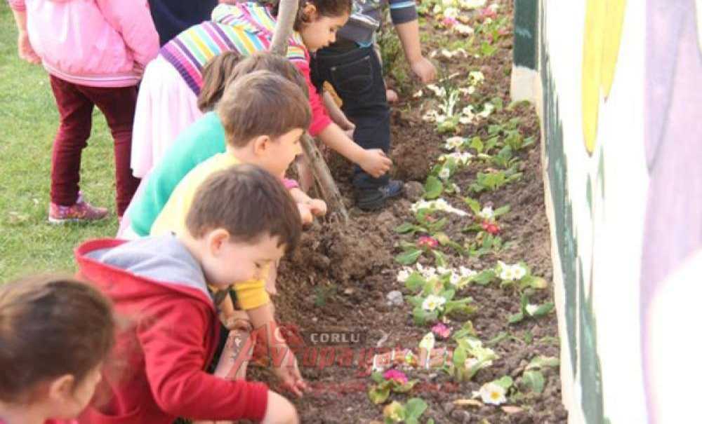 Kardeş Okul Ve Kardeş Kurs Öğrencileri Ağaç Dikti
